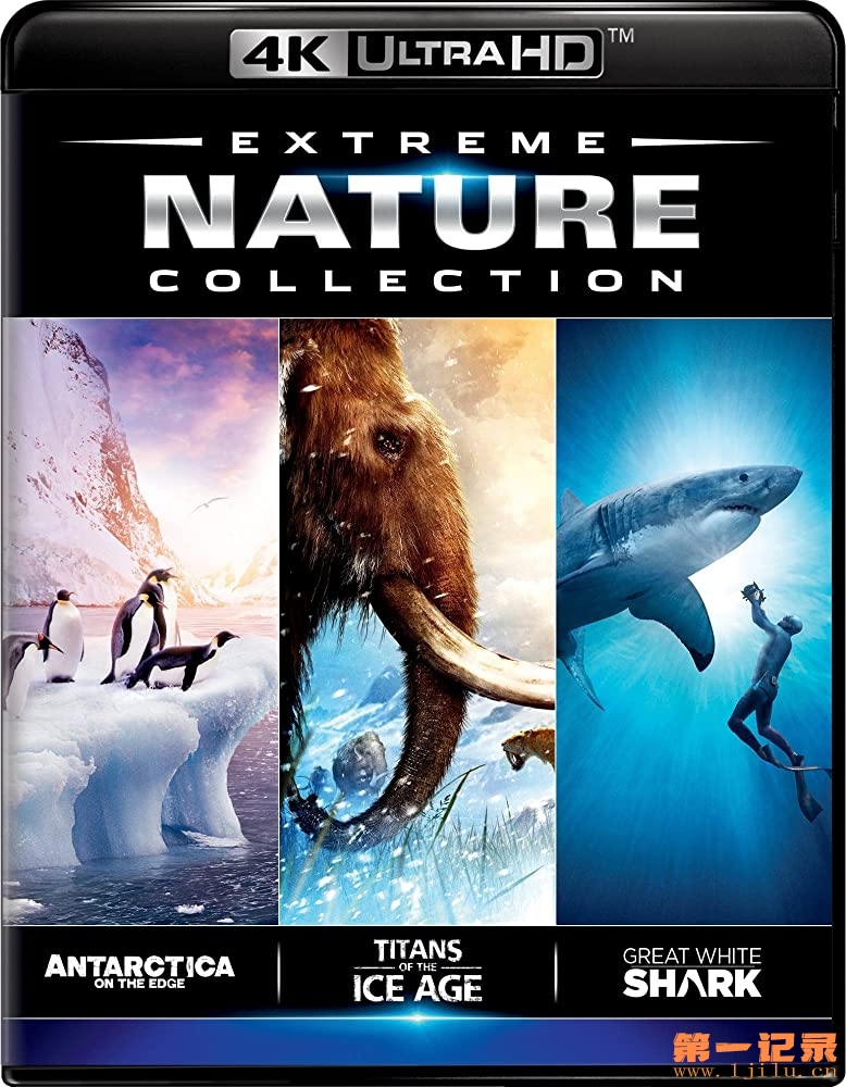 Antarctica 3D On the Edge (2014)  .jpg