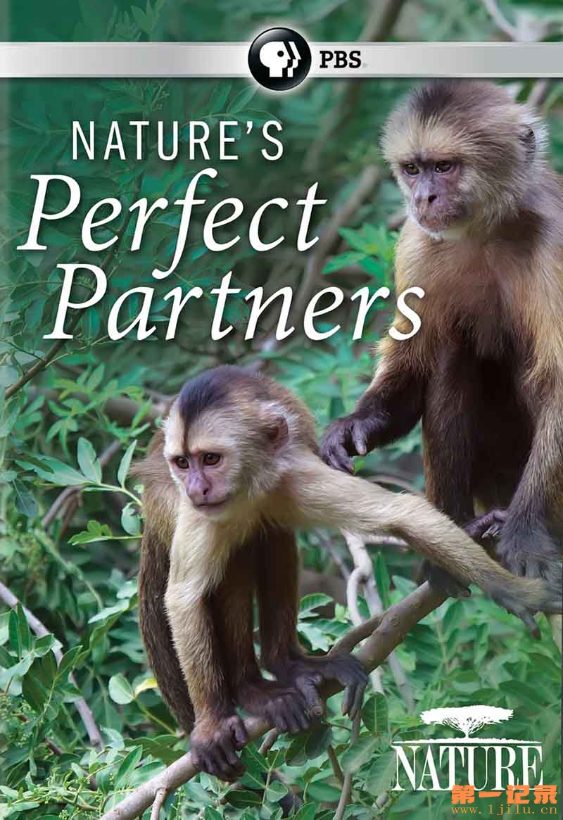 Nature's Perfect Partners(2016).jpg