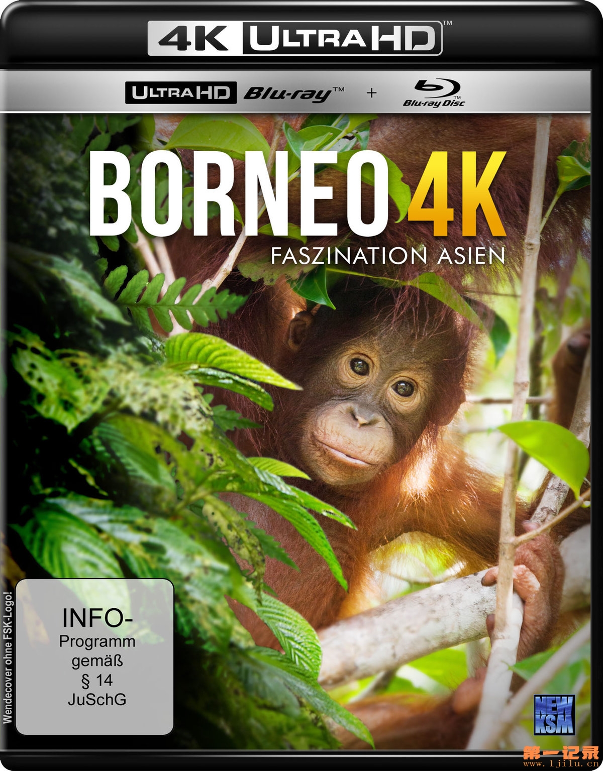 Borneo - Faszination Asien [4K] [Blu-ray] [2017].jpg