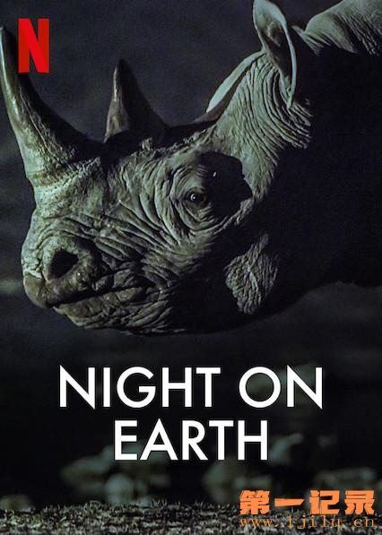 地球的夜晚 Night on Earth (2020).jpg