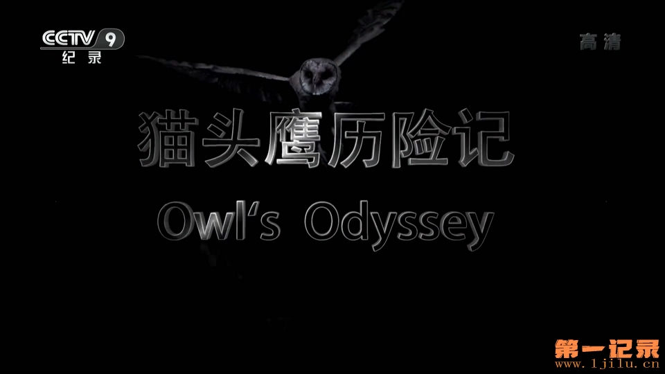 猫头鹰历险记 Owl Odyssey (2014).jpg