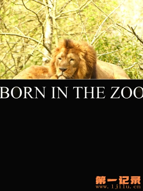 Born in the zoo.jpg