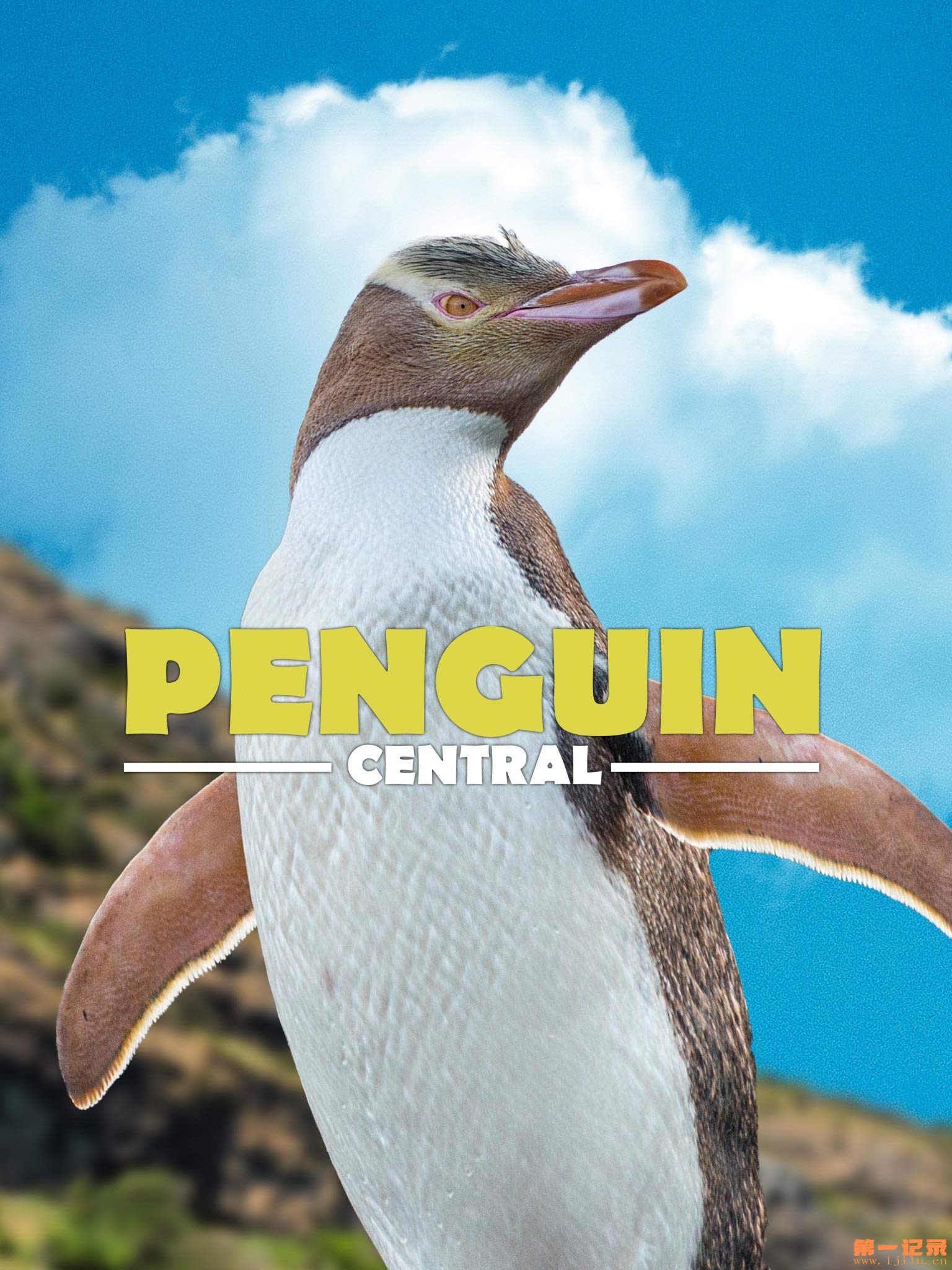 Penguin Central.jpg