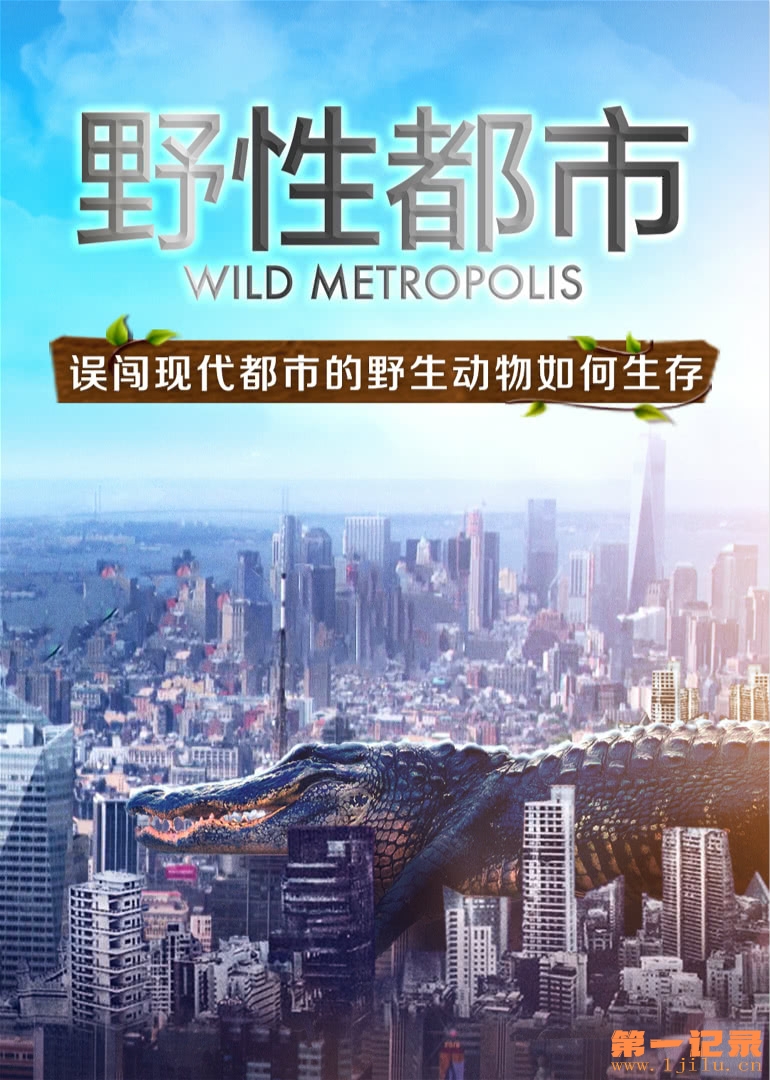 野性都市 Wild Metropolis (2018).jpg