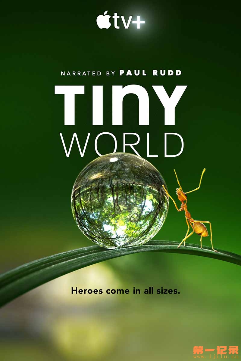 小小世界 第一季 Tiny World Season 1 (2020).jpg