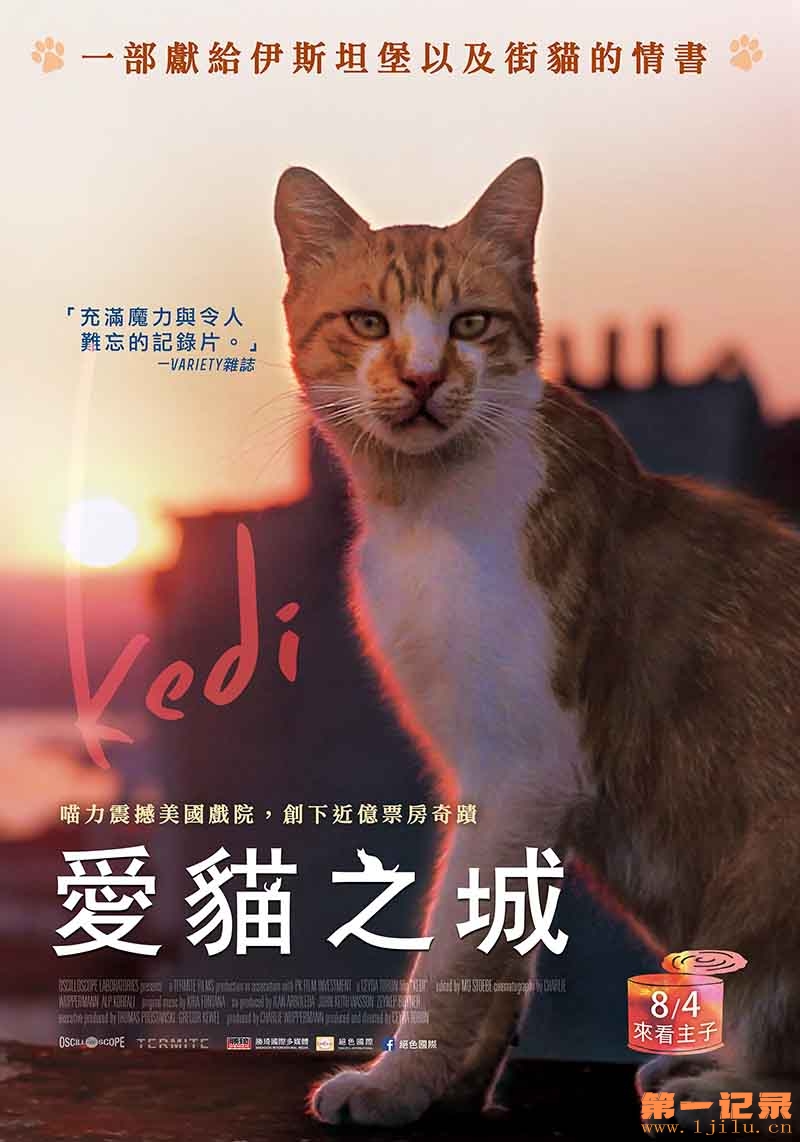 爱猫之城.Cat.AKA.Kedi.2016.Bluray.1080p.x265.10bit.MNHD-FRDS.jpg