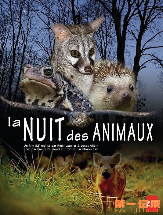 La-nuit-des-animaux.jpg