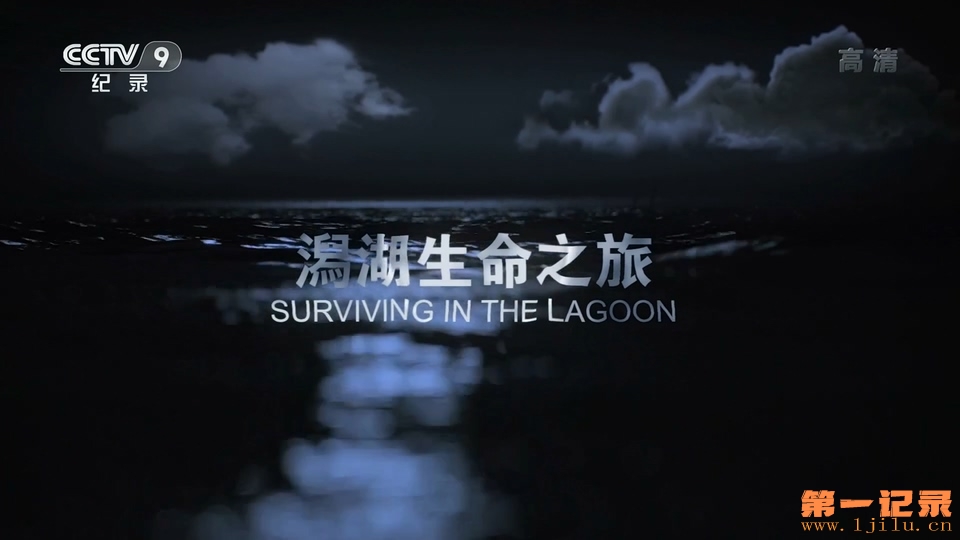 潟湖生命之旅 Surviving in the Lagoon (2018).jpg