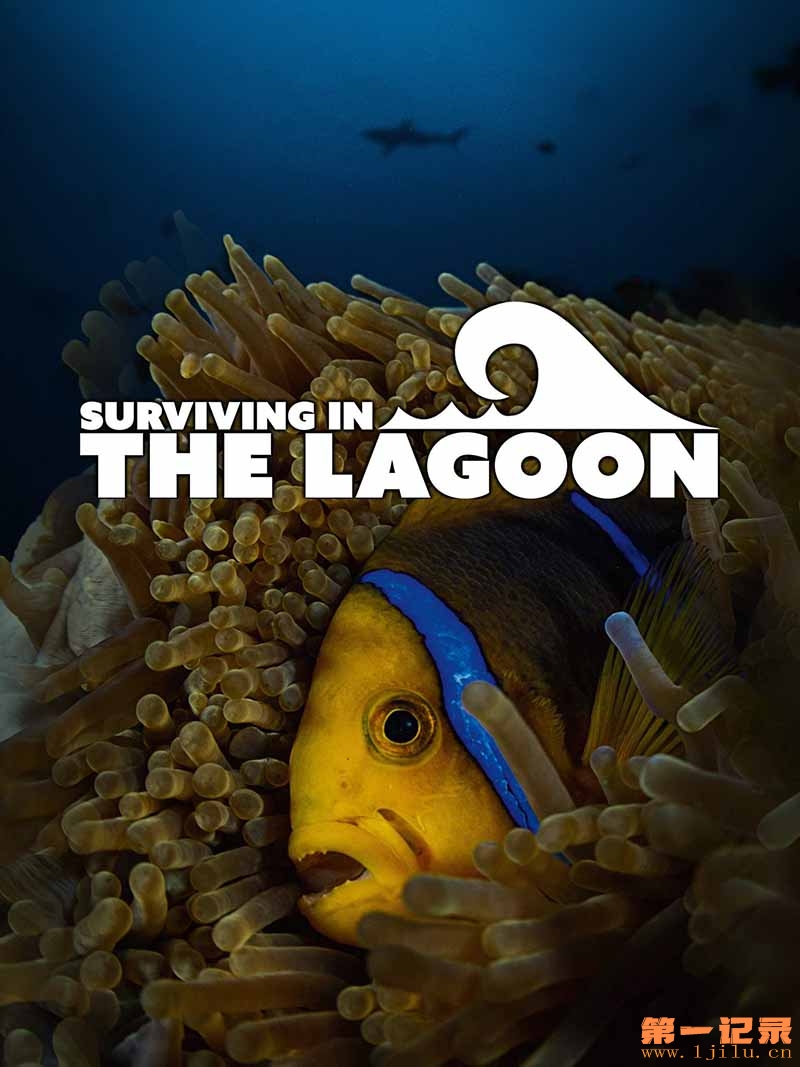 Surviving in the Lagoon (2018).jpg