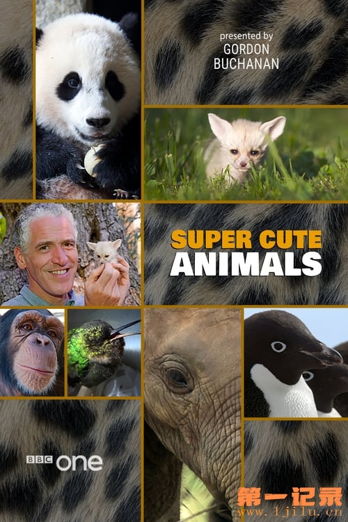 Super Cute Animals.jpg