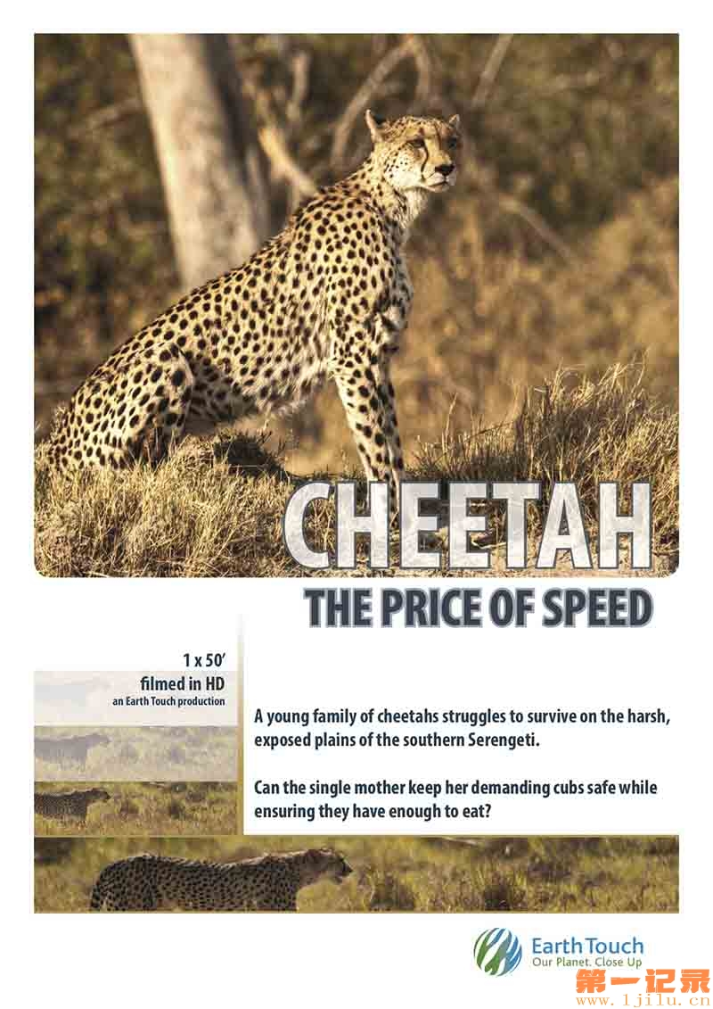 Cheetah The Price of Speed - 2010.jpg