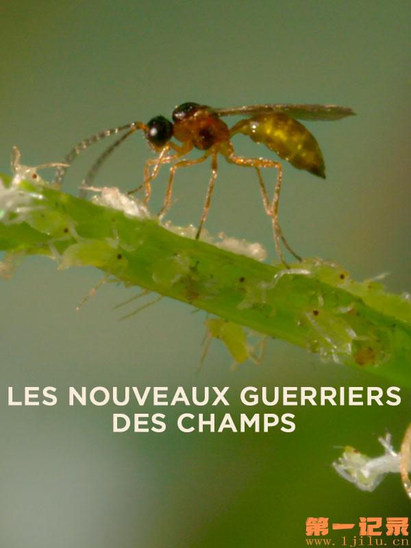 les-nouveaux-guerriers-des-champs.jpg