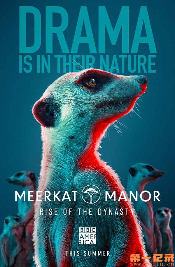 Meerkat Manor Rise of the Dynasty.jpg