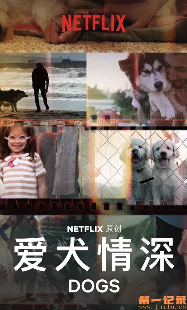 Dogs.S01.2160p.NF.WEBRip.x265.10bit.HDR.DDP5.1.Atmos-TrollUHD.jpg