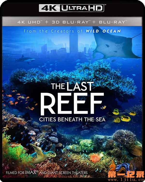 最后的珊瑚礁 The Last Reef Cities Beneath the Sea (2012).jpg