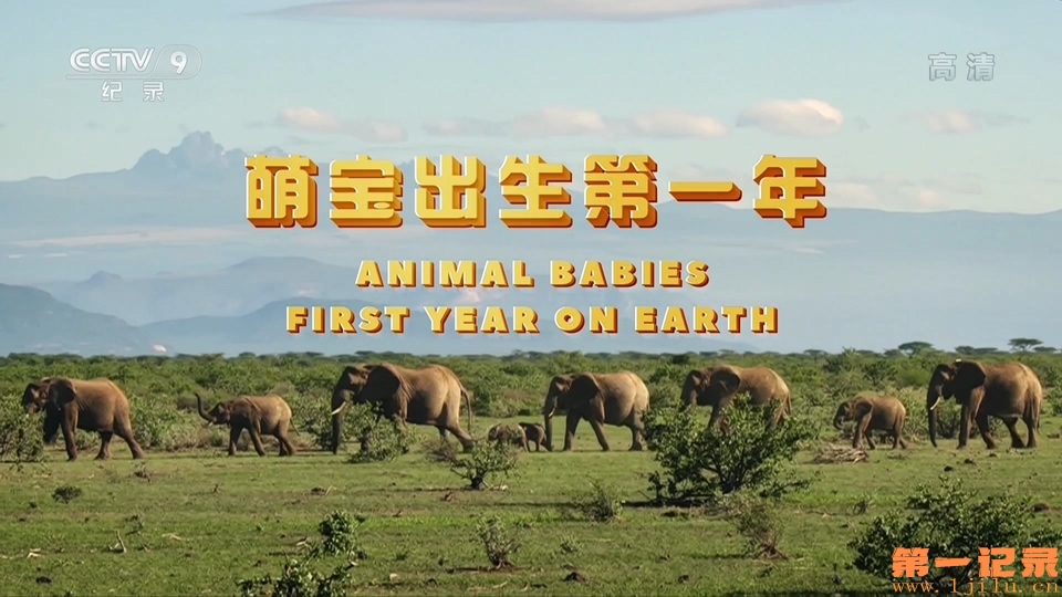 萌宝出生第一年 Animal Babies First Year on Earth (2019).jpg