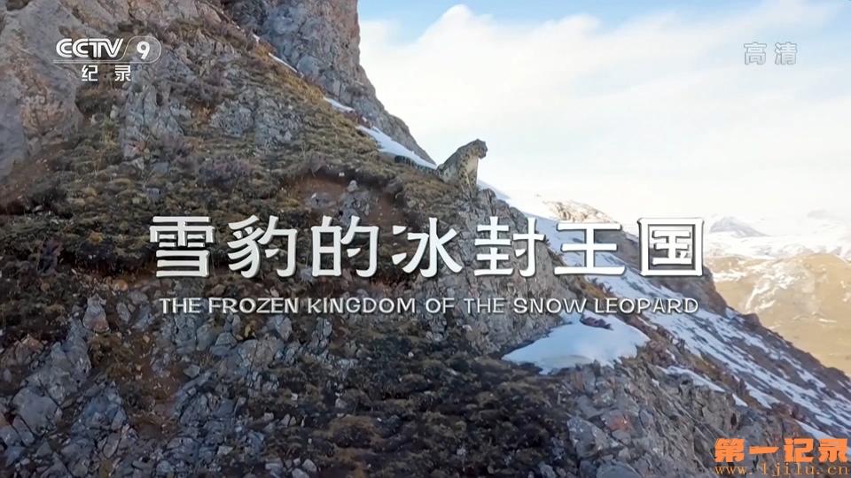 雪豹的冰封王国(2021).jpg