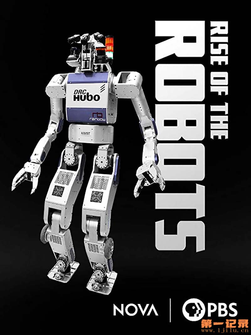 机器人发展史 Rise of the Robots(2016).jpg