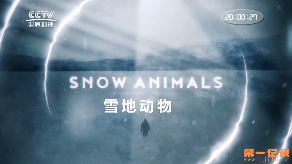 雪地动物 Snow Animals (2019).jpg