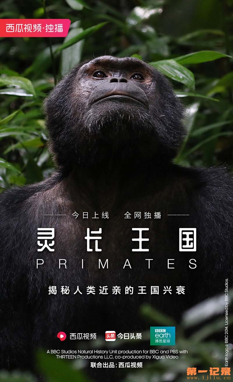 灵长王国.Primates.jpg