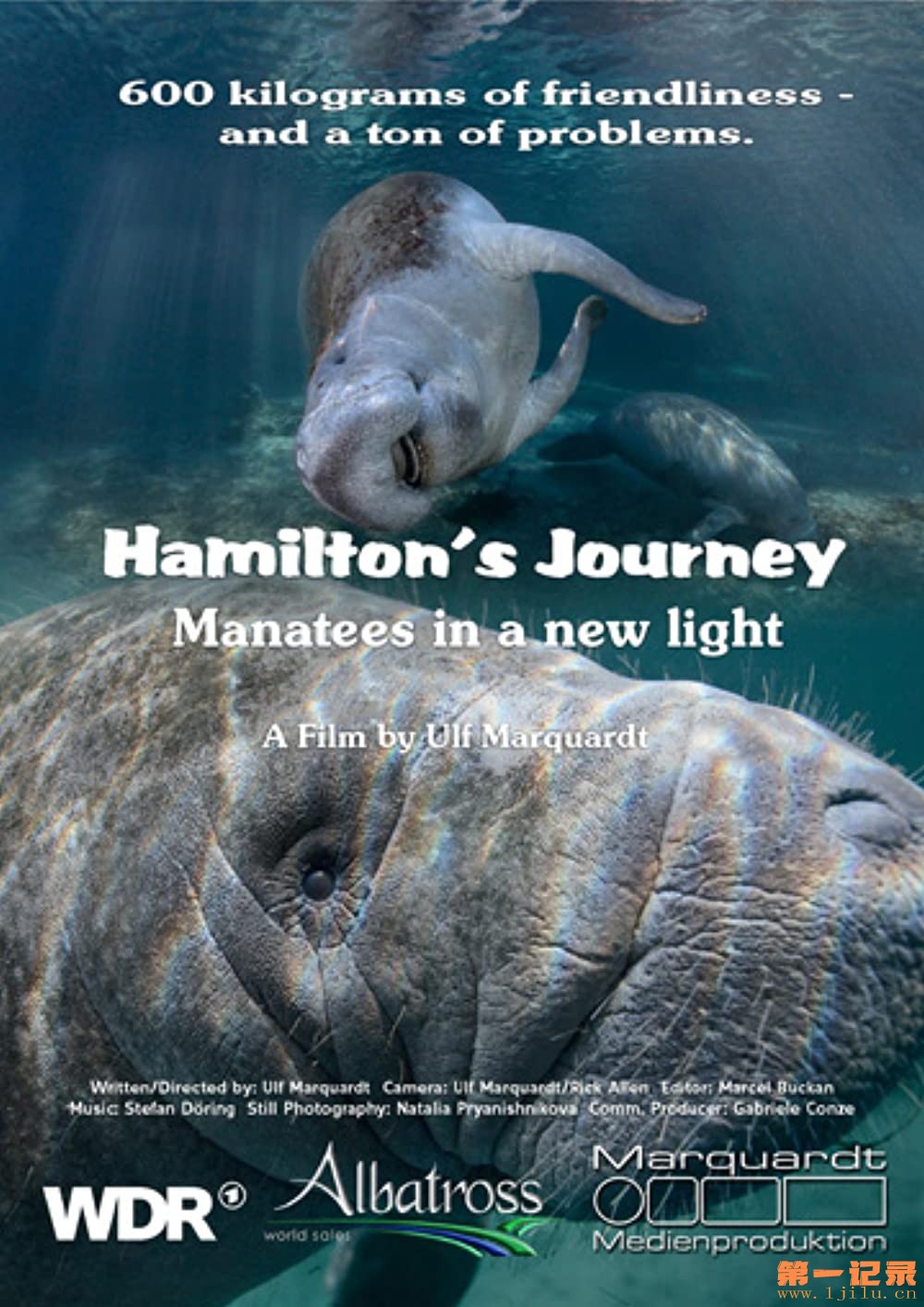 Hamilton's Journey Manatees in a New Light.jpg