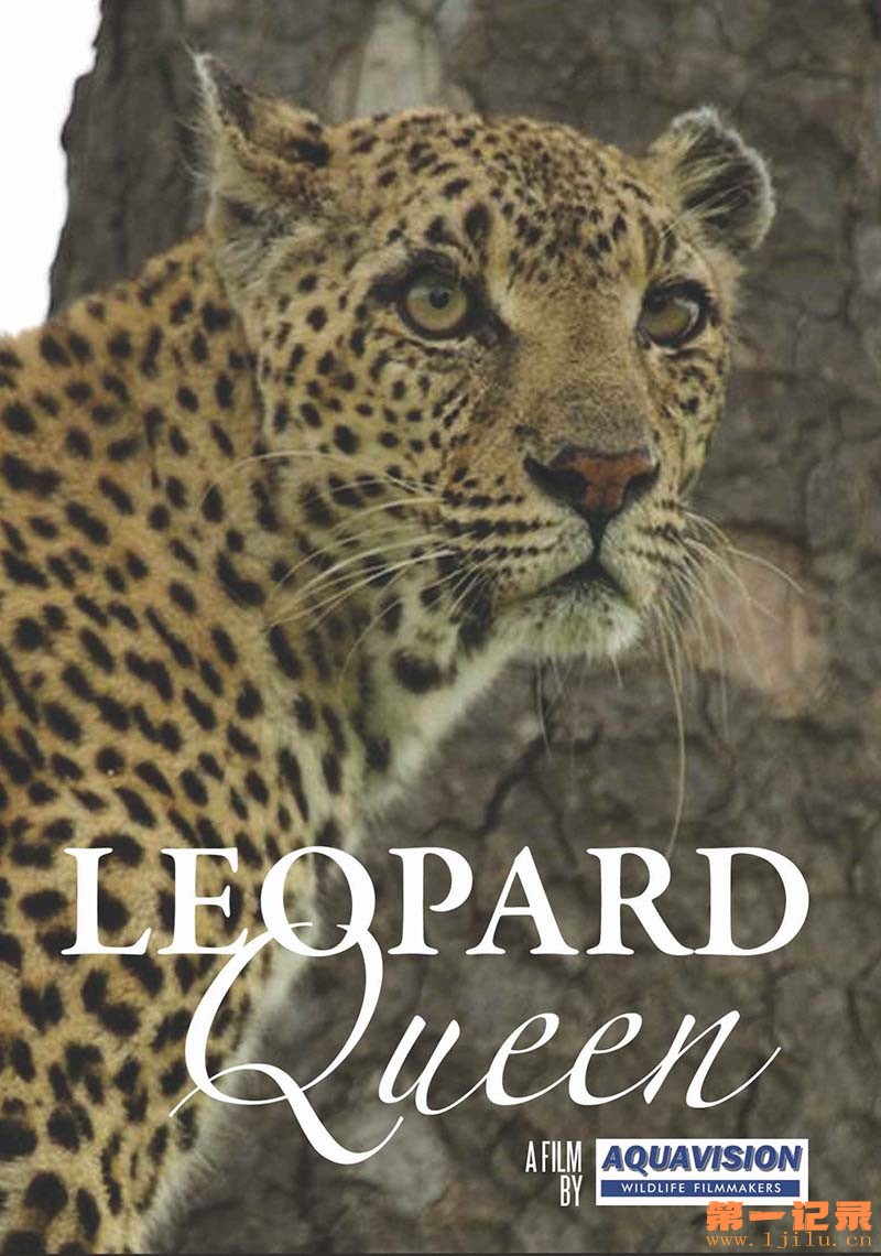 花豹女王 Leopard Queen.jpg