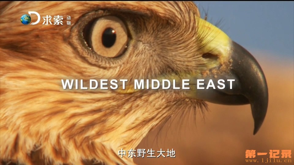 中东野生大地 Wildest Middle East (2015).jpg