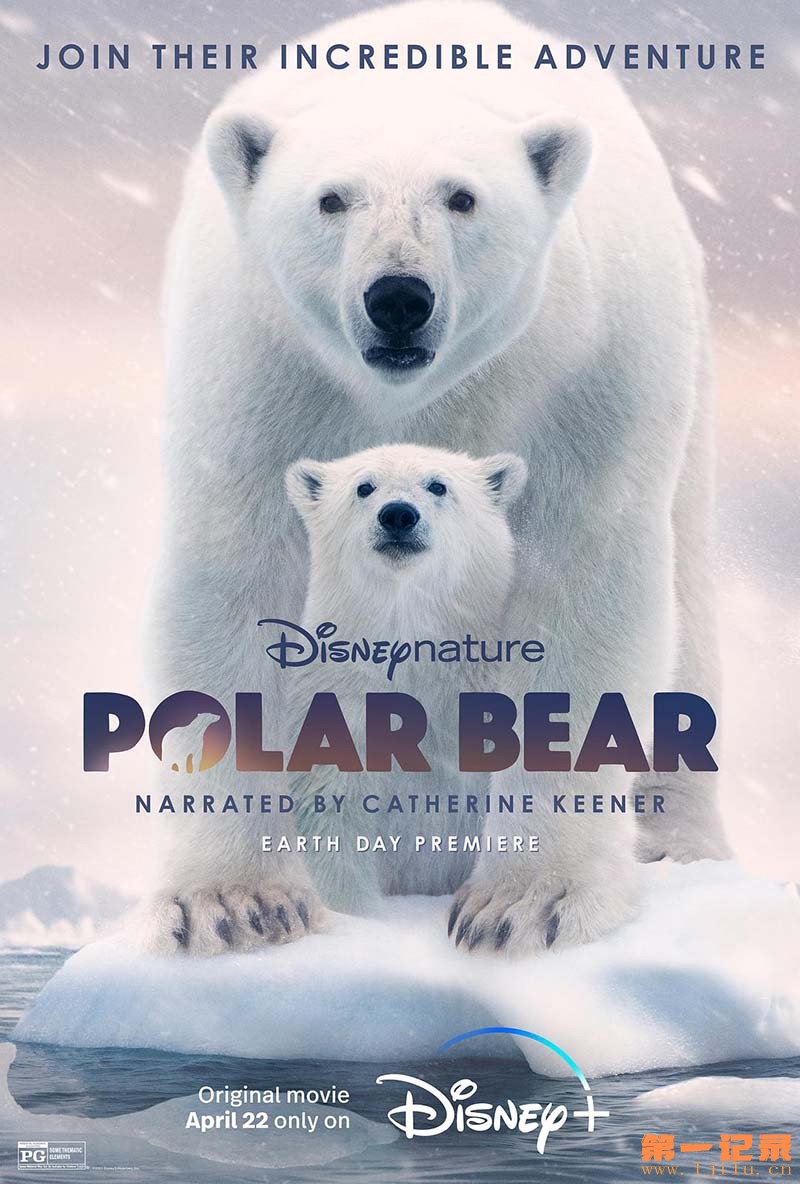 北极熊 Polar Bear 2022.jpg