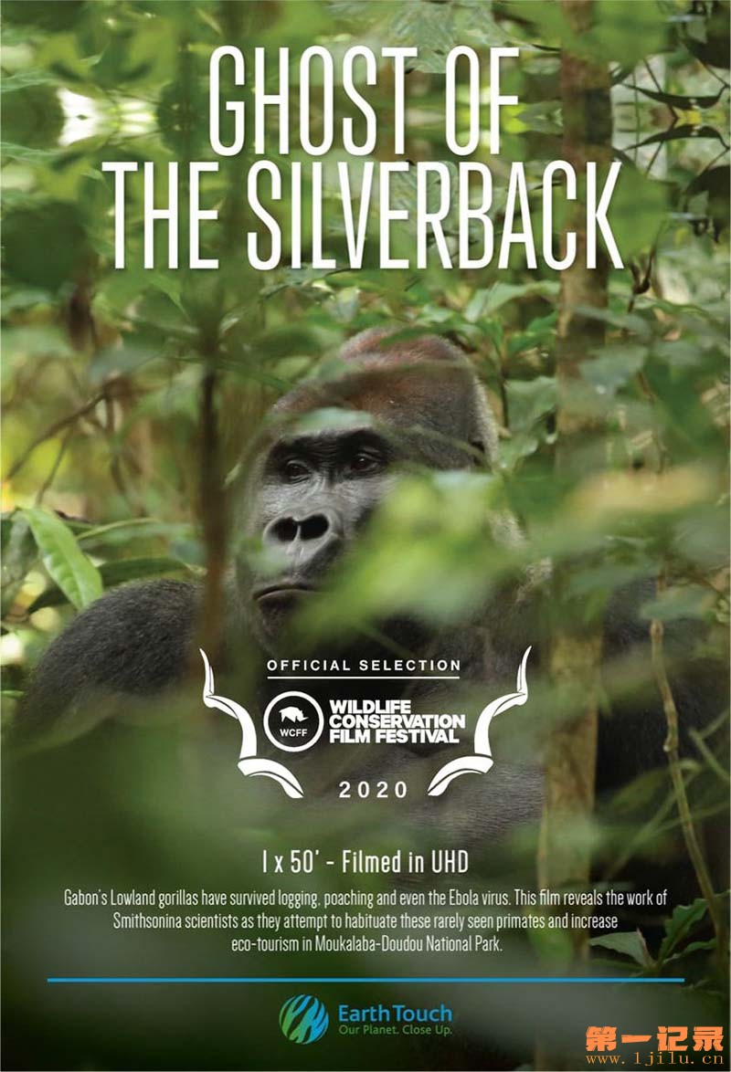 Ghost of the Silverback 2020.jpg