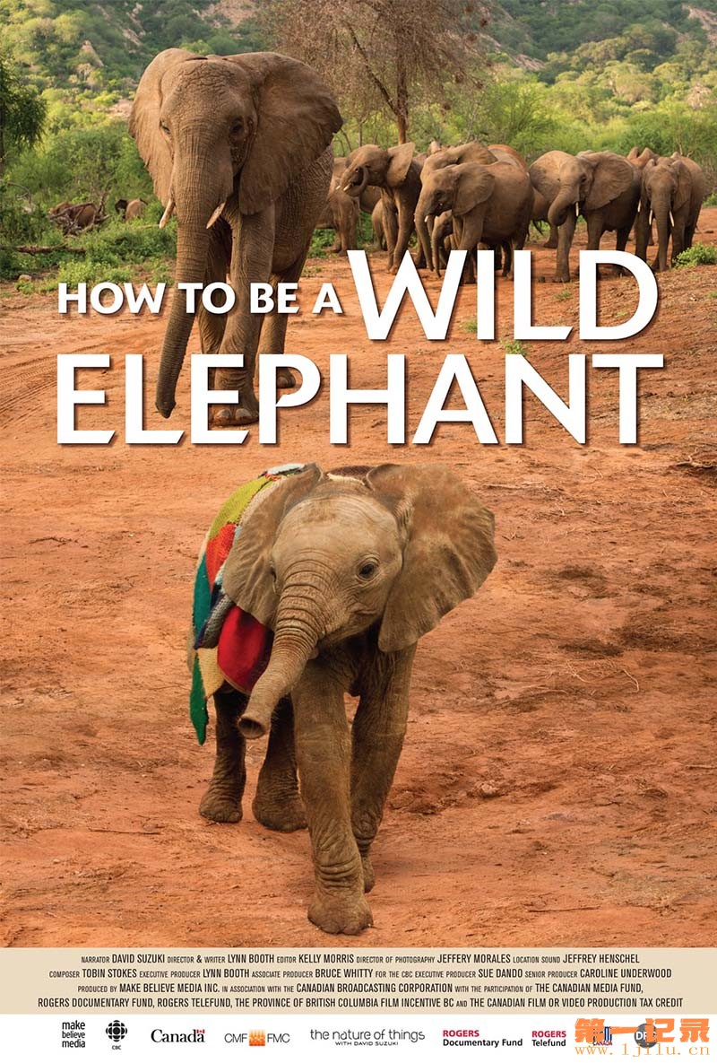 野生大象炼成记 How to Be a Wild Elephant 2014.jpg