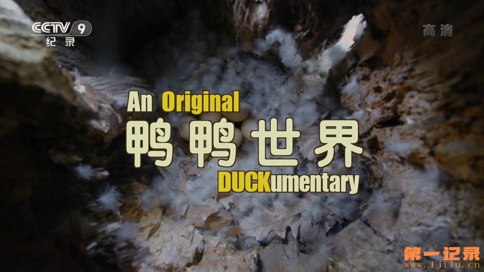 鸭鸭世界 An Original DUCKumentary (2012).jpg