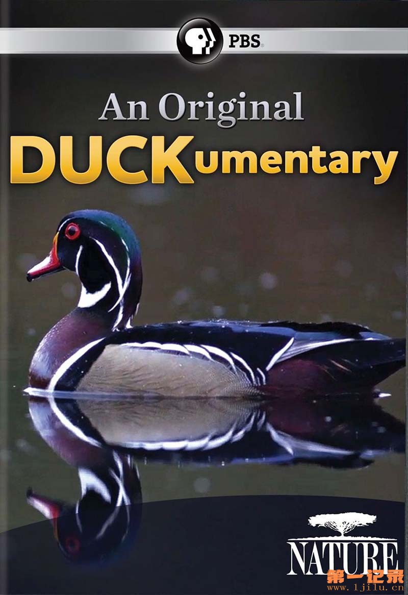 鸭鸭世界 An Original DUCKumentary 2012.jpg