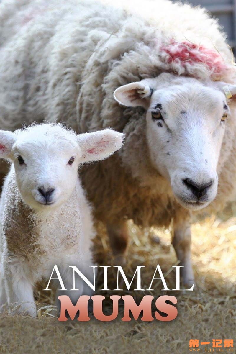 Animal Mums 2015.jpg