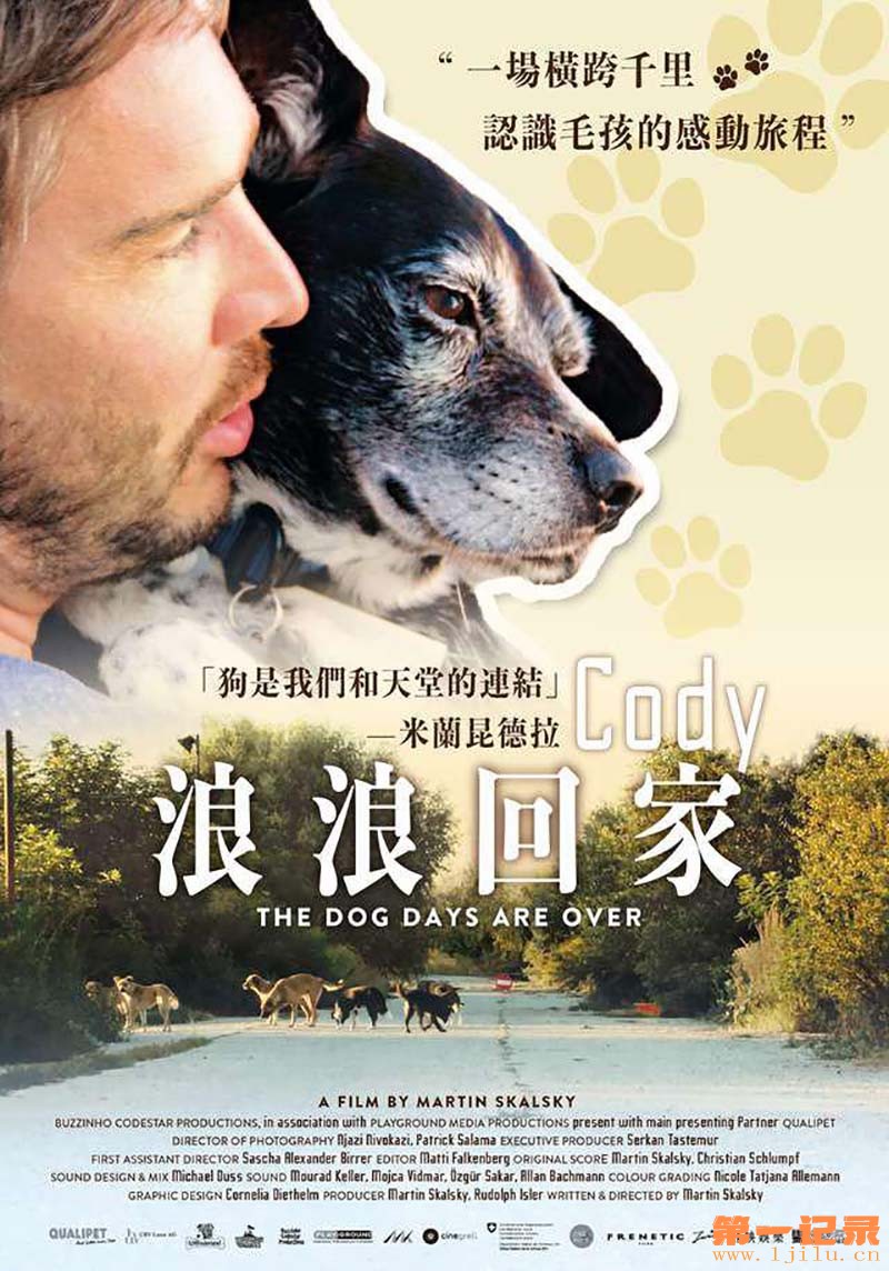 爱犬科迪 与往事告别 2019.jpg