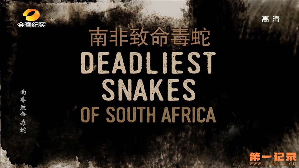 南非致命毒蛇 Deadliest Snakes of South Africa(2016).jpg