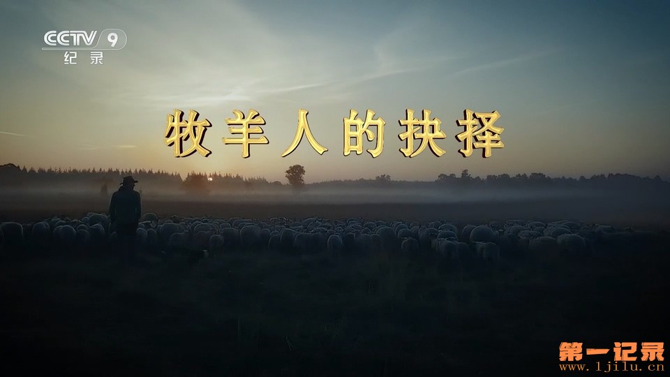 牧羊人的抉择(2019).jpg