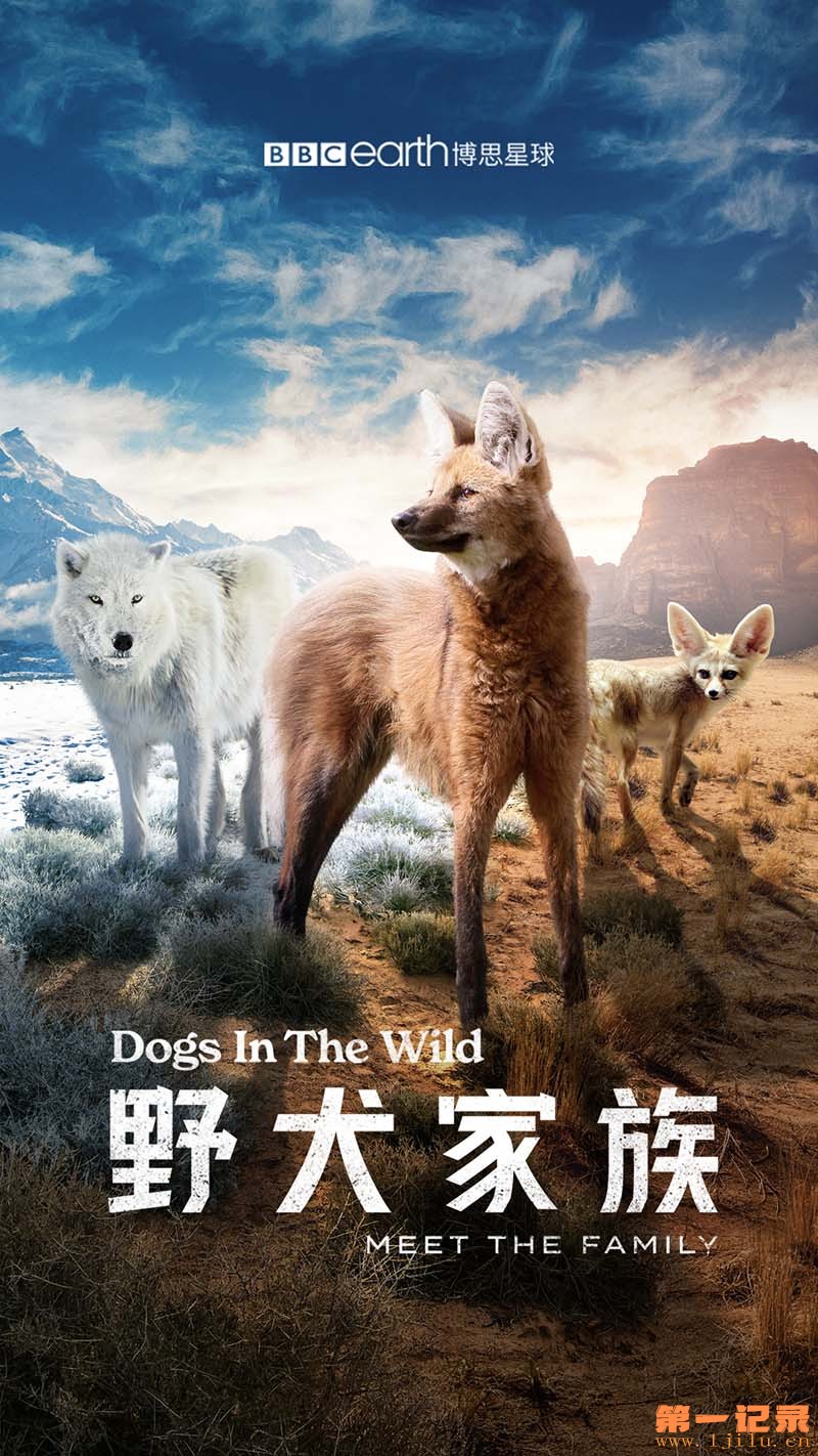 野犬家族 Dogs in the Wild Meet the Family (2022).jpg