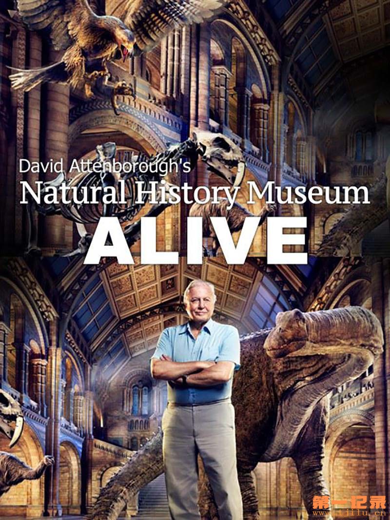 爱丁保罗夫爷爷的博物馆奇妙夜 David Attenborough's Natural History Museum Al.jpg