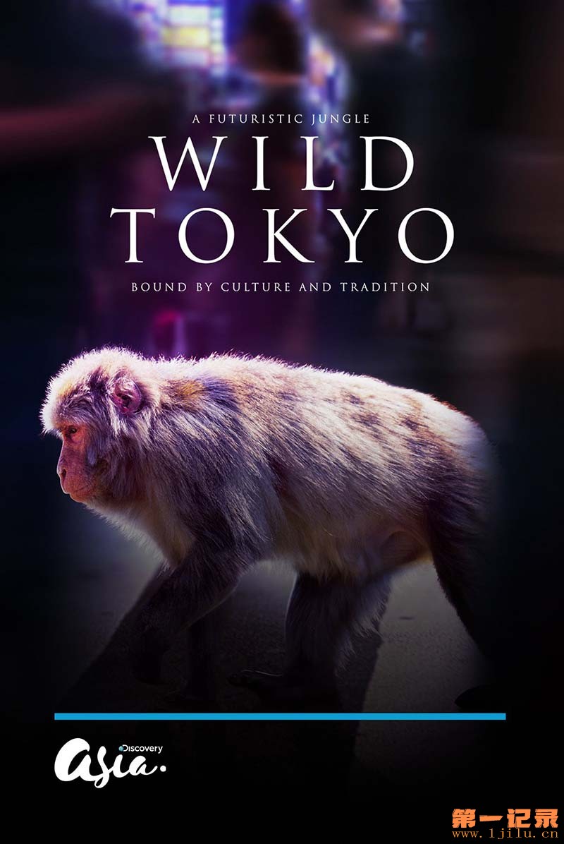 狂野东京 Wild Tokyo (2020).jpg