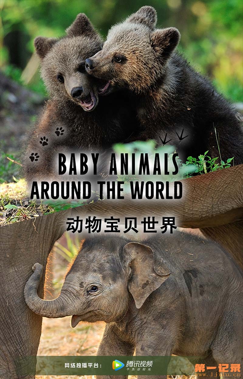 动物宝贝世界 Baby Animals Around the World (2017).jpg