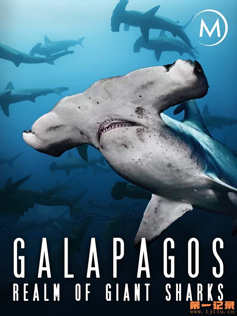 加拉帕戈斯群岛：巨大鲨鱼王国 Galapagos Realm of Giant Sharks (2012).jpg