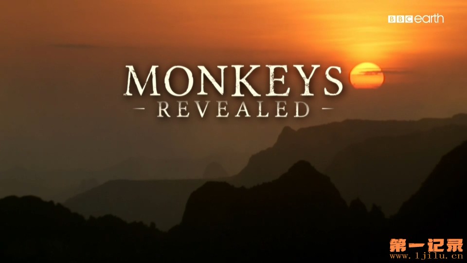 猴子大观 Monkeys Revealed (2014).jpg