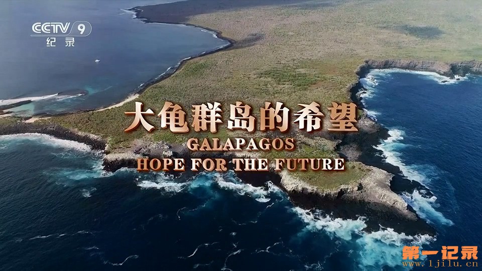 大龟群岛的希望 Galapagos Hope for the Future (2019) .jpg