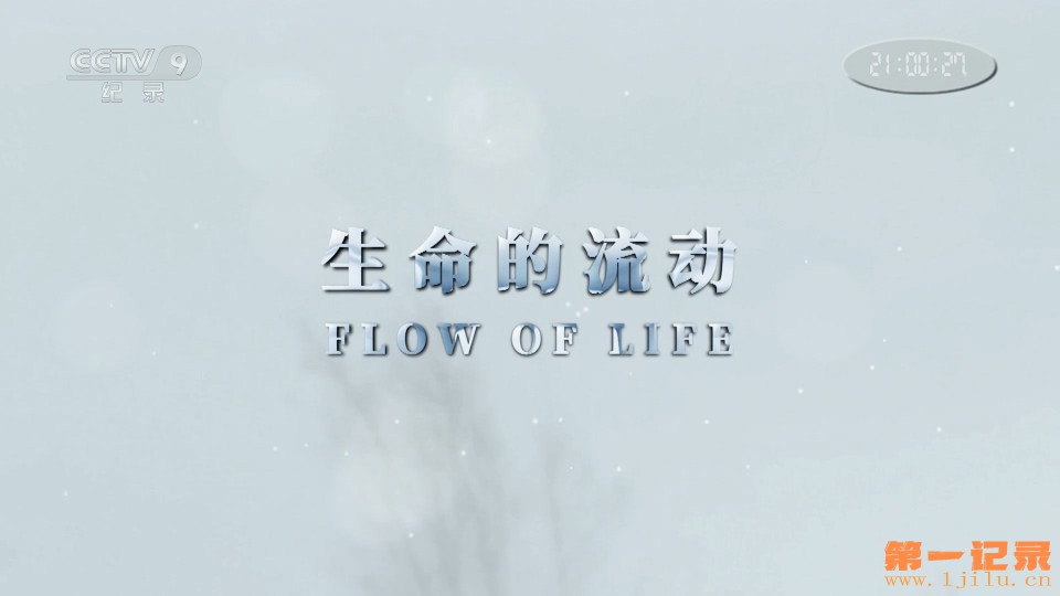 生命的流动 Flow of Life (2017) .jpg