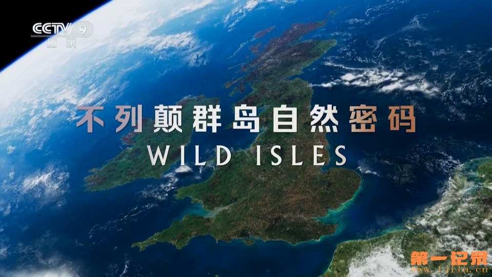 不列颠群岛自然密码 Wild Isles (2023).jpg