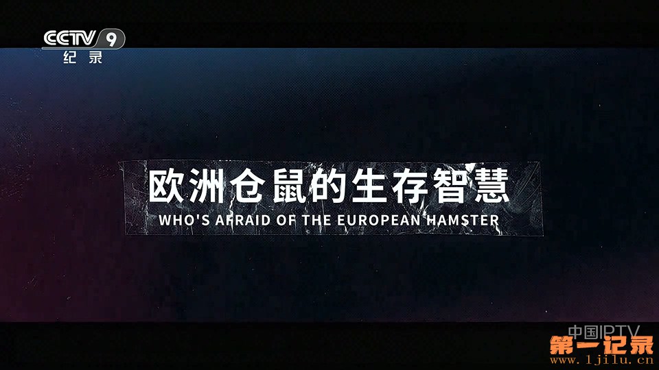 欧洲仓鼠的生存智慧(2021).jpg