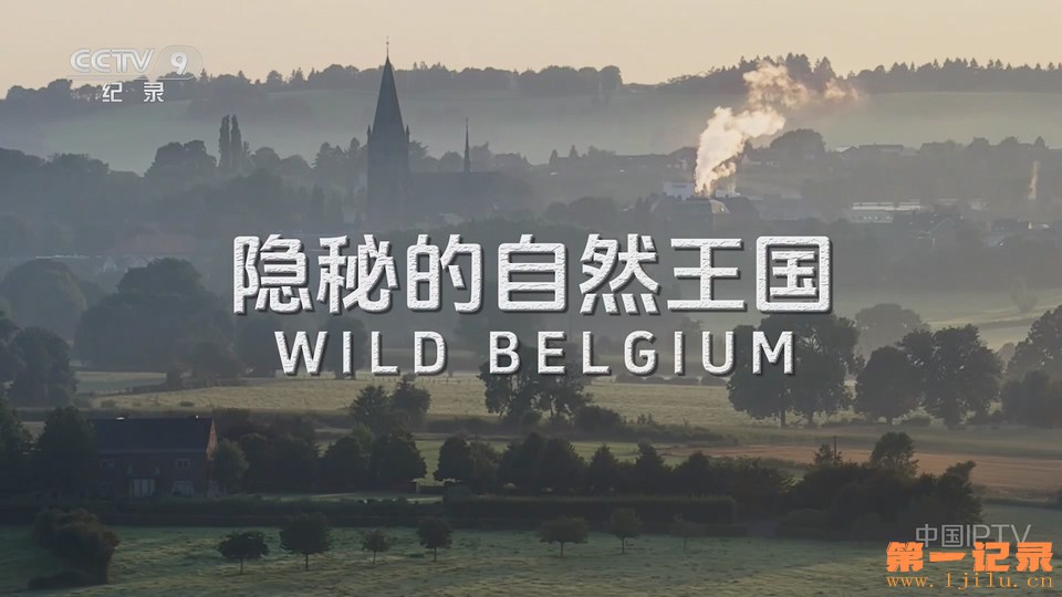 隐秘的自然王国(2025).jpg