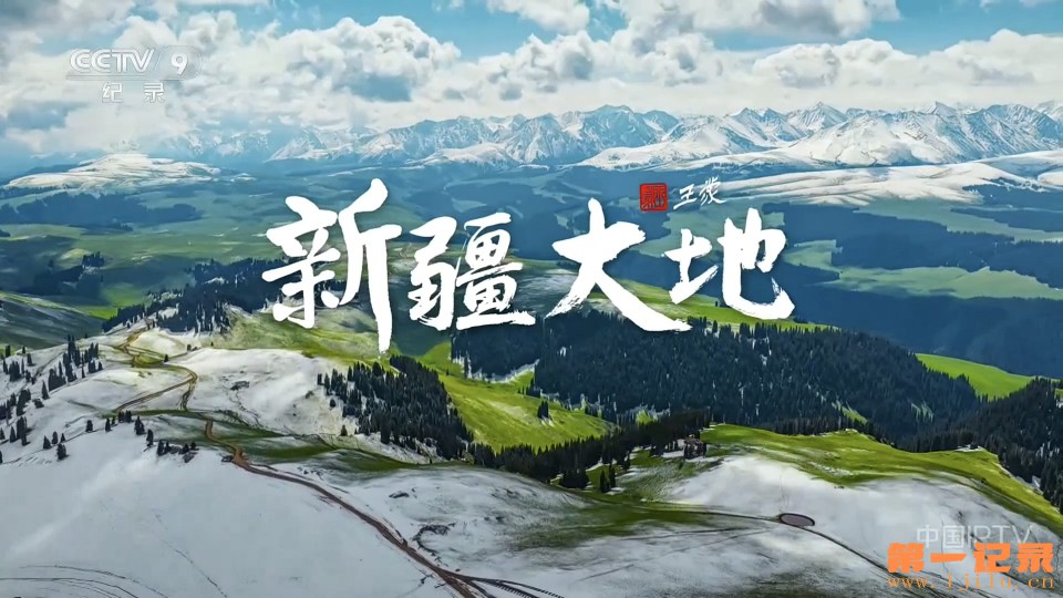 新疆大地(2025).jpg