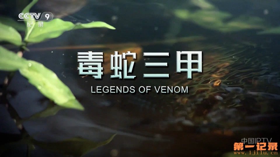 毒蛇三甲(2023).jpg