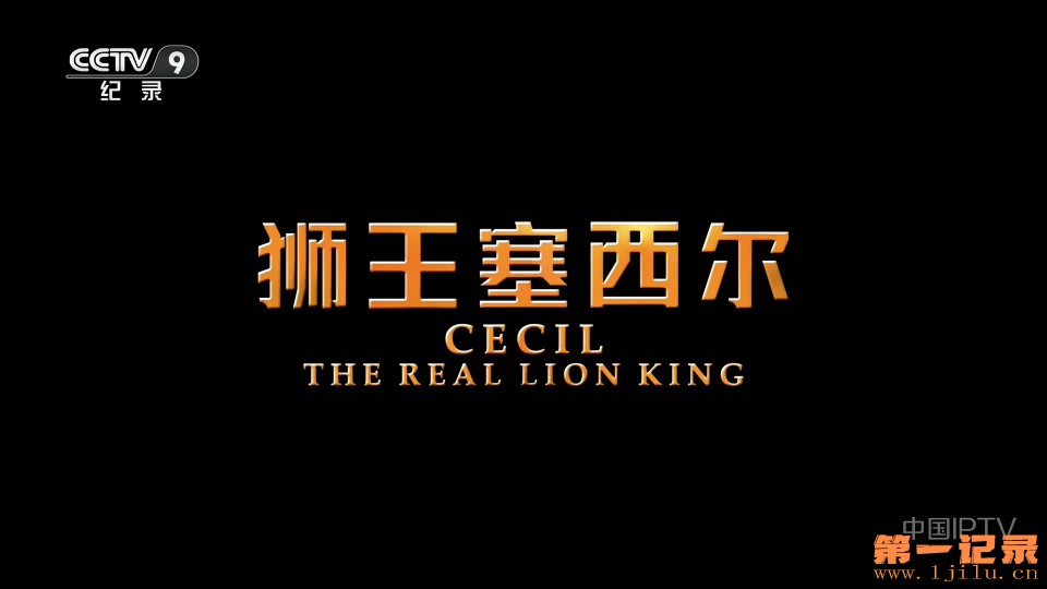 狮王塞西尔(2020).jpg